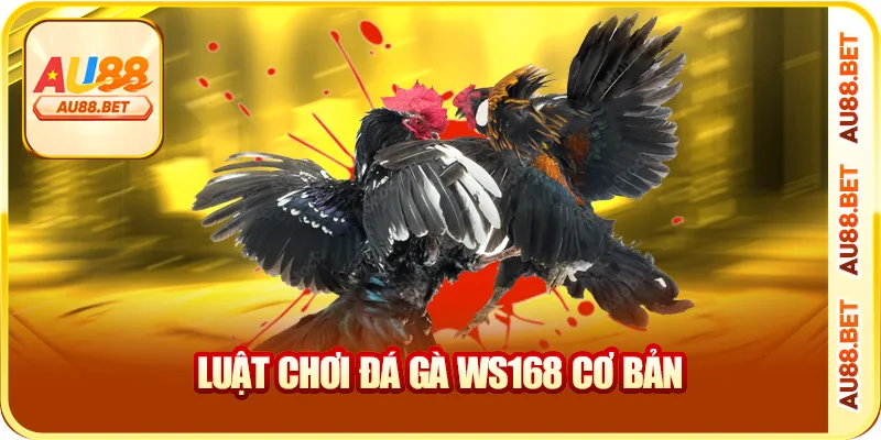 Luật chơi đá gà WS168 cơ bản